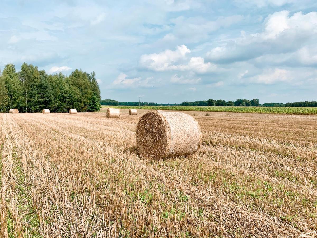 Agroturystyka Sielanka Przasnysz Exterior foto